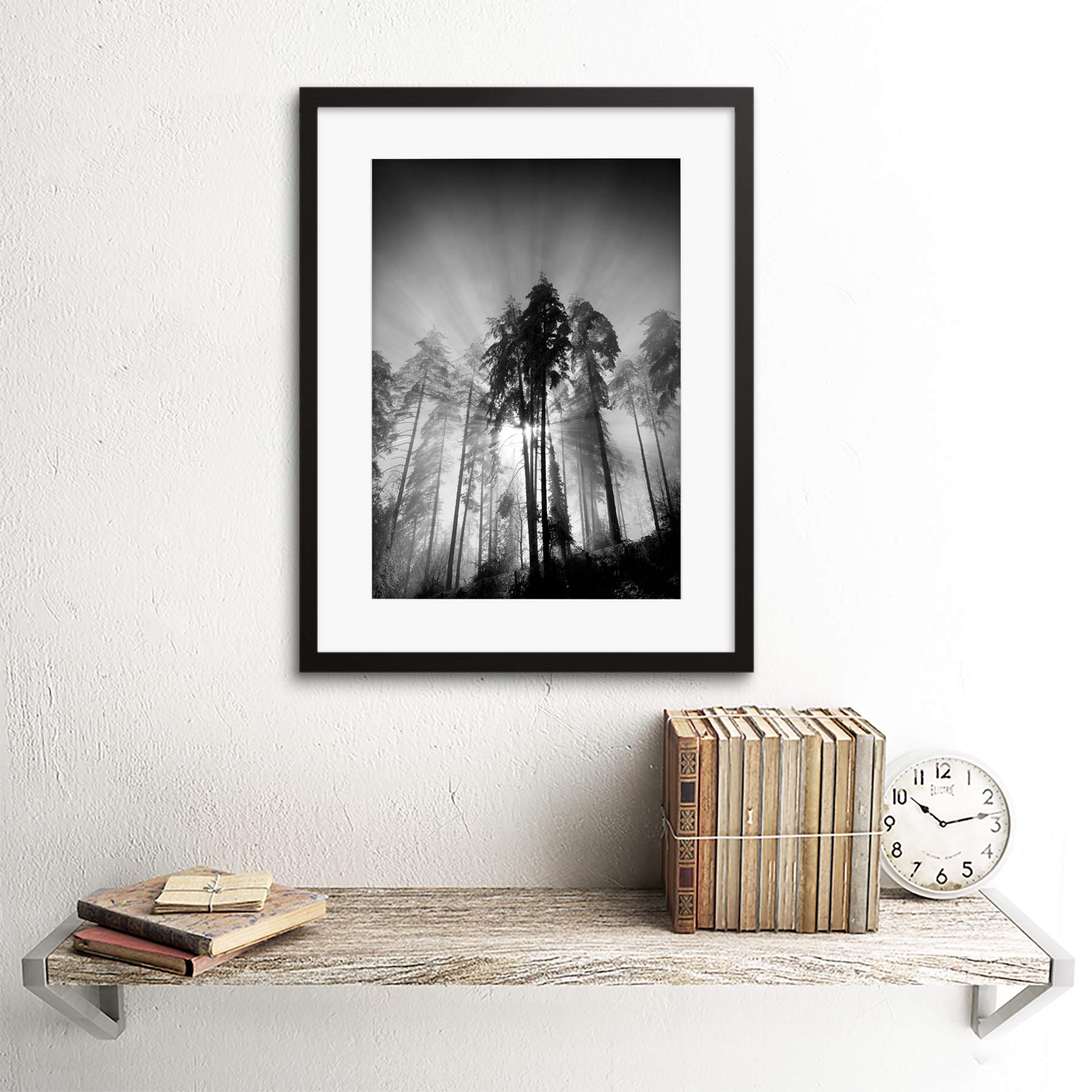 Amazon.com: TREES LIGHT FOG BLACK WHITE BLACK FRAME FRAMED ART